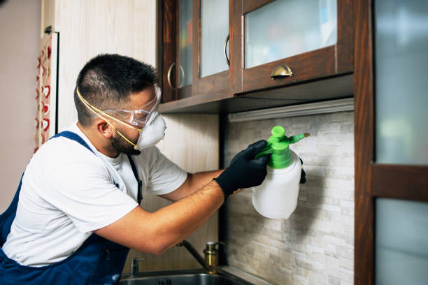Best Commercial Pest Control Services  in Berkeley, IL