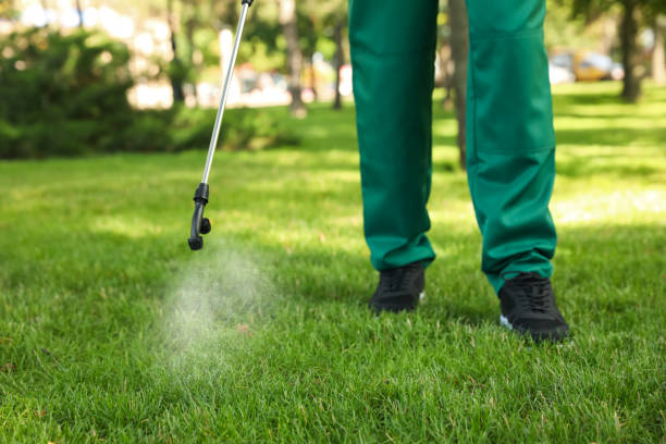 Best Local Pest Control Services  in Berkeley, IL