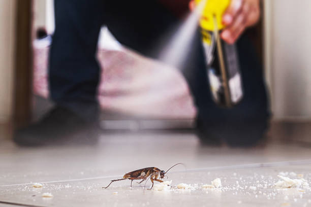 Best Affordable Pest Control Services  in Berkeley, IL