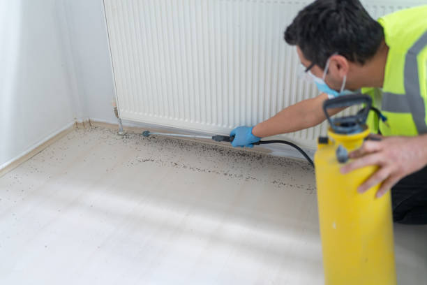 Best Mosquito Control Services  in Berkeley, IL